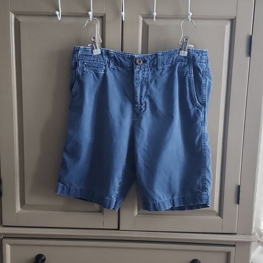 American Eagle Outfitters  classic shorts size 30